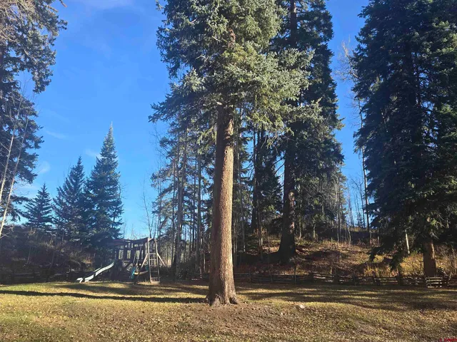 a view of street with tree s