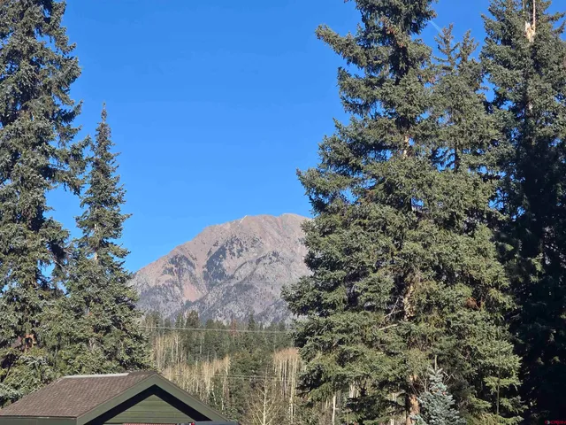 a view of a tree in a yard