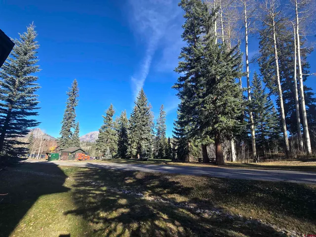 a view of a yard with tree s