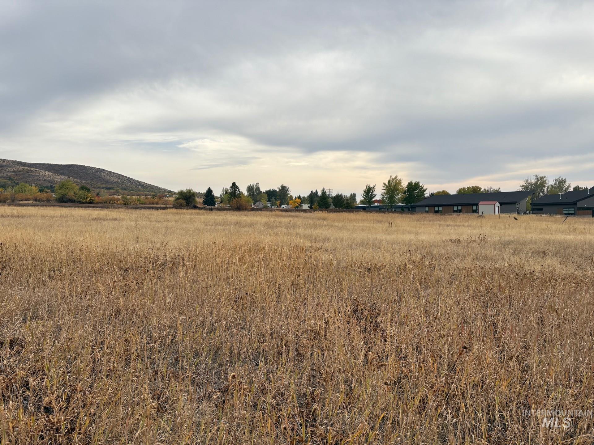 View of undeveloped land featuring rural landscape