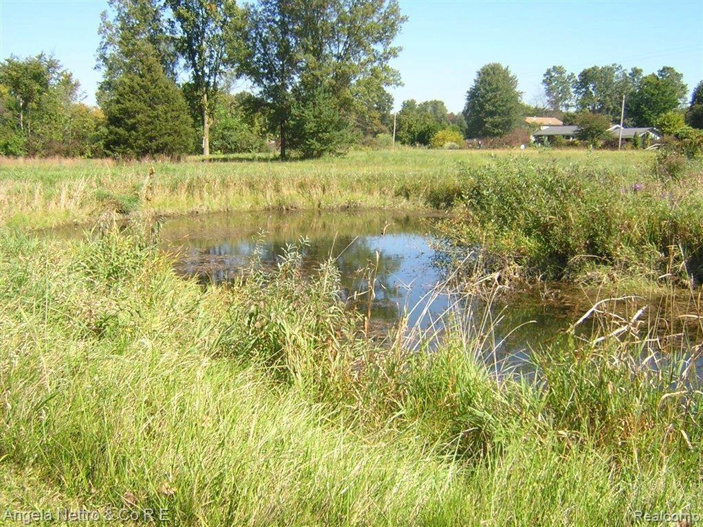 10924 Bunton Road Willis, MI 48191 - Photo 10 of 24 POND