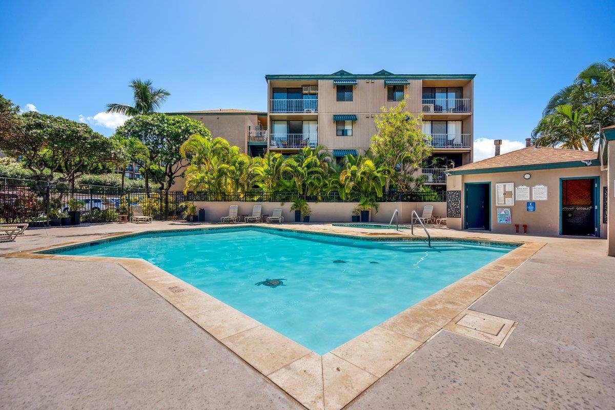 2219 South Kihei Road, Unit A204 Kihei, HI 96753 - Photo 17 of 20