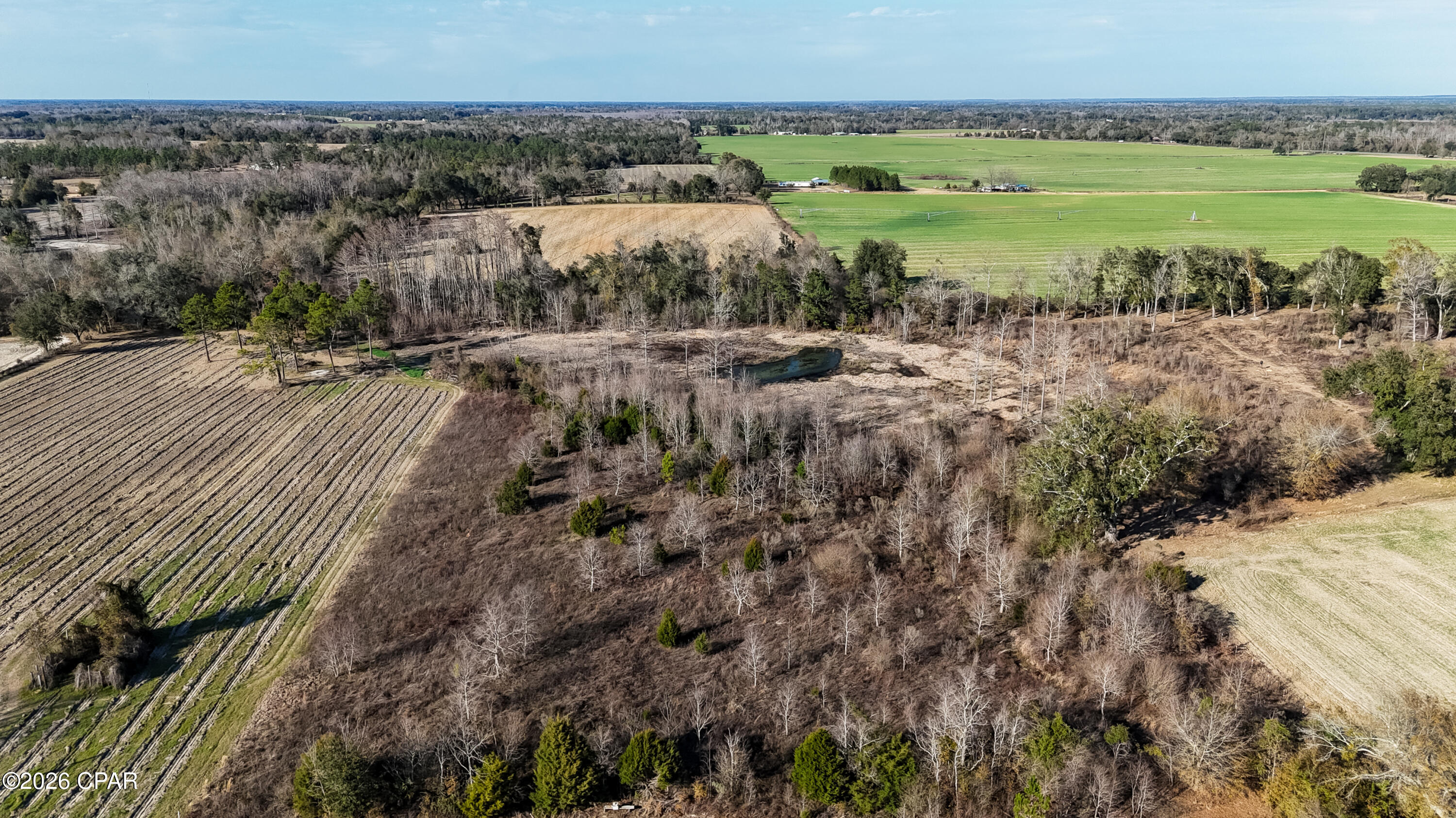 0 Columbus Road Grand Ridge, FL 32442 - Photo 12 of 16