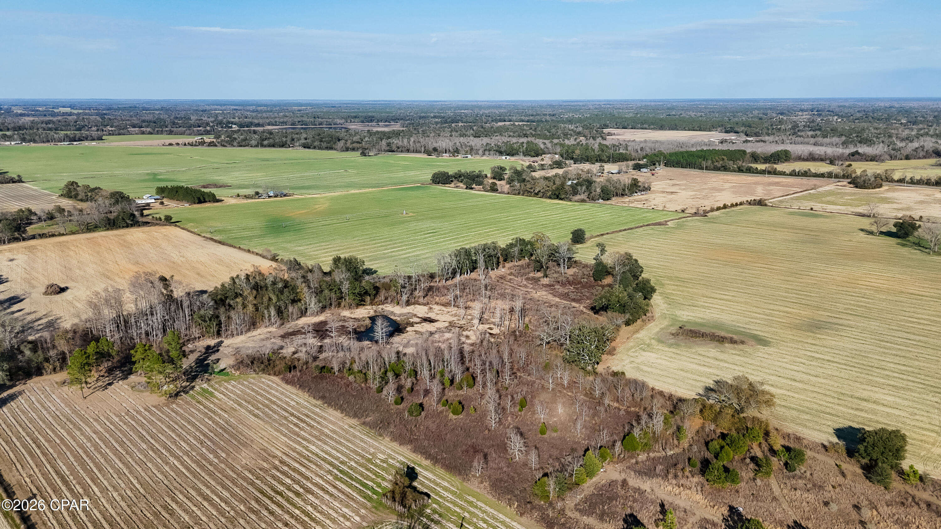 0 Columbus Road Grand Ridge, FL 32442 - Photo 13 of 16