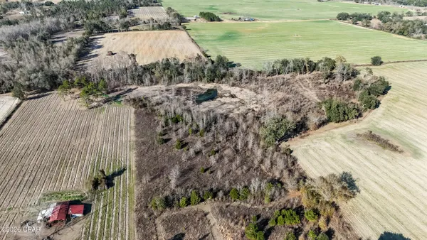 $47,500 | 0 Columbus Road, Grand Ridge, FL 32442