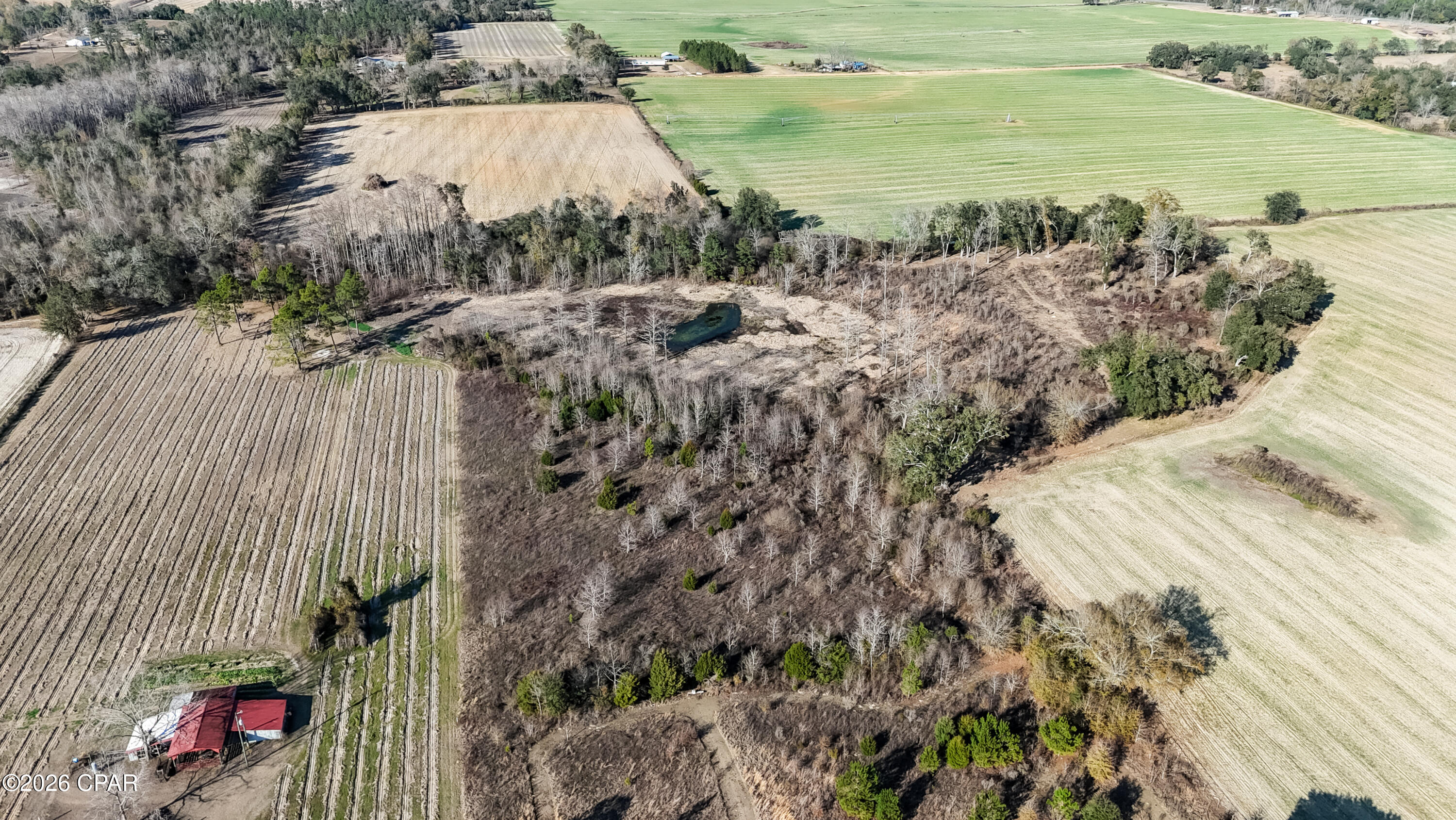 0 Columbus Road Grand Ridge, FL 32442 - Photo 14 of 16