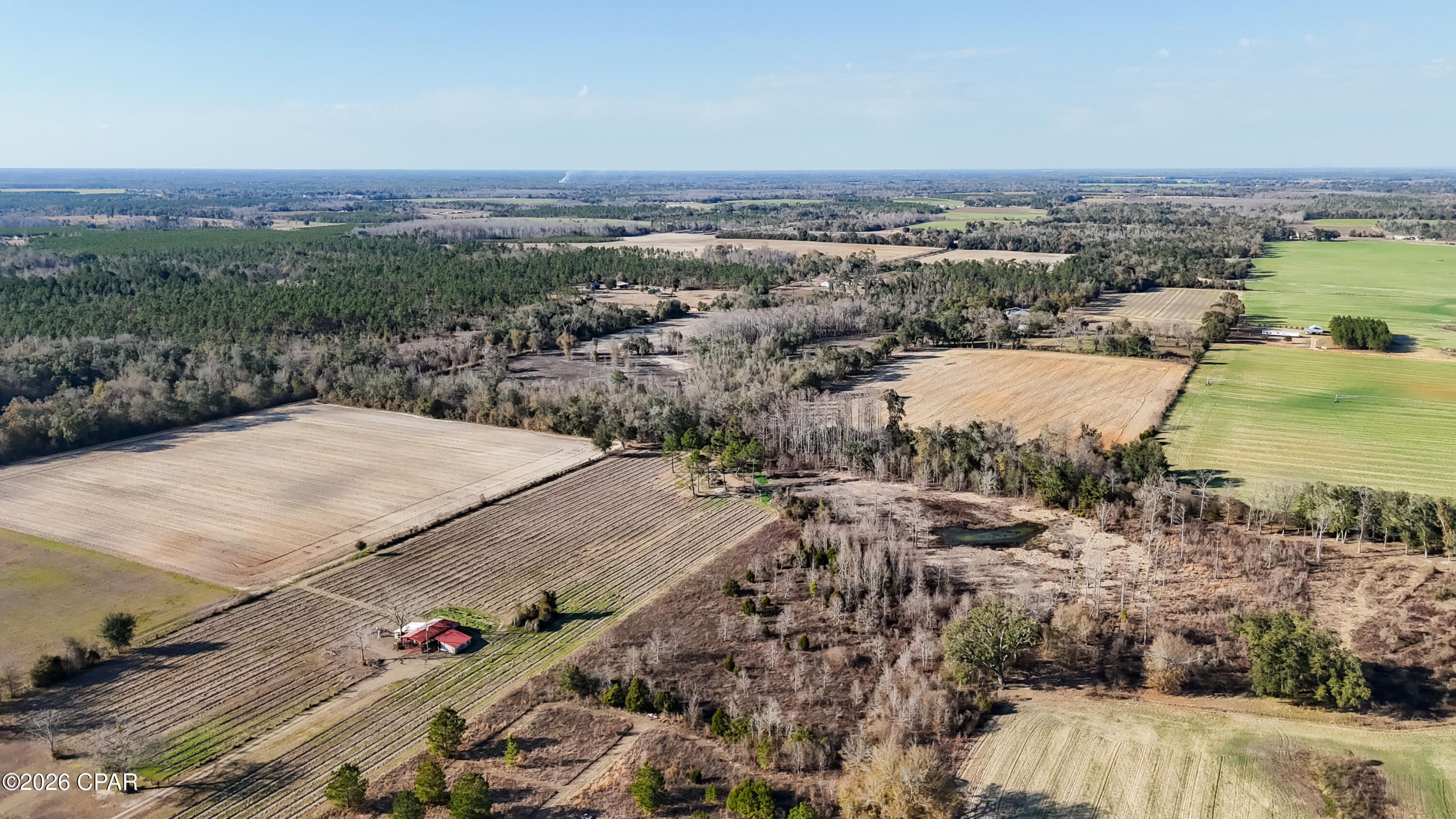 0 Columbus Road Grand Ridge, FL 32442 - Photo 5 of 16