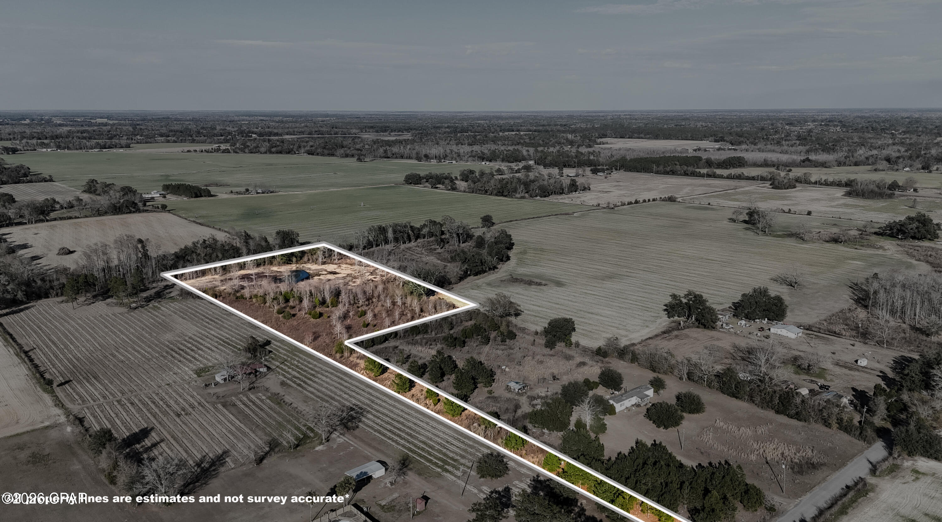 0 Columbus Road Grand Ridge, FL 32442 - Photo 6 of 16