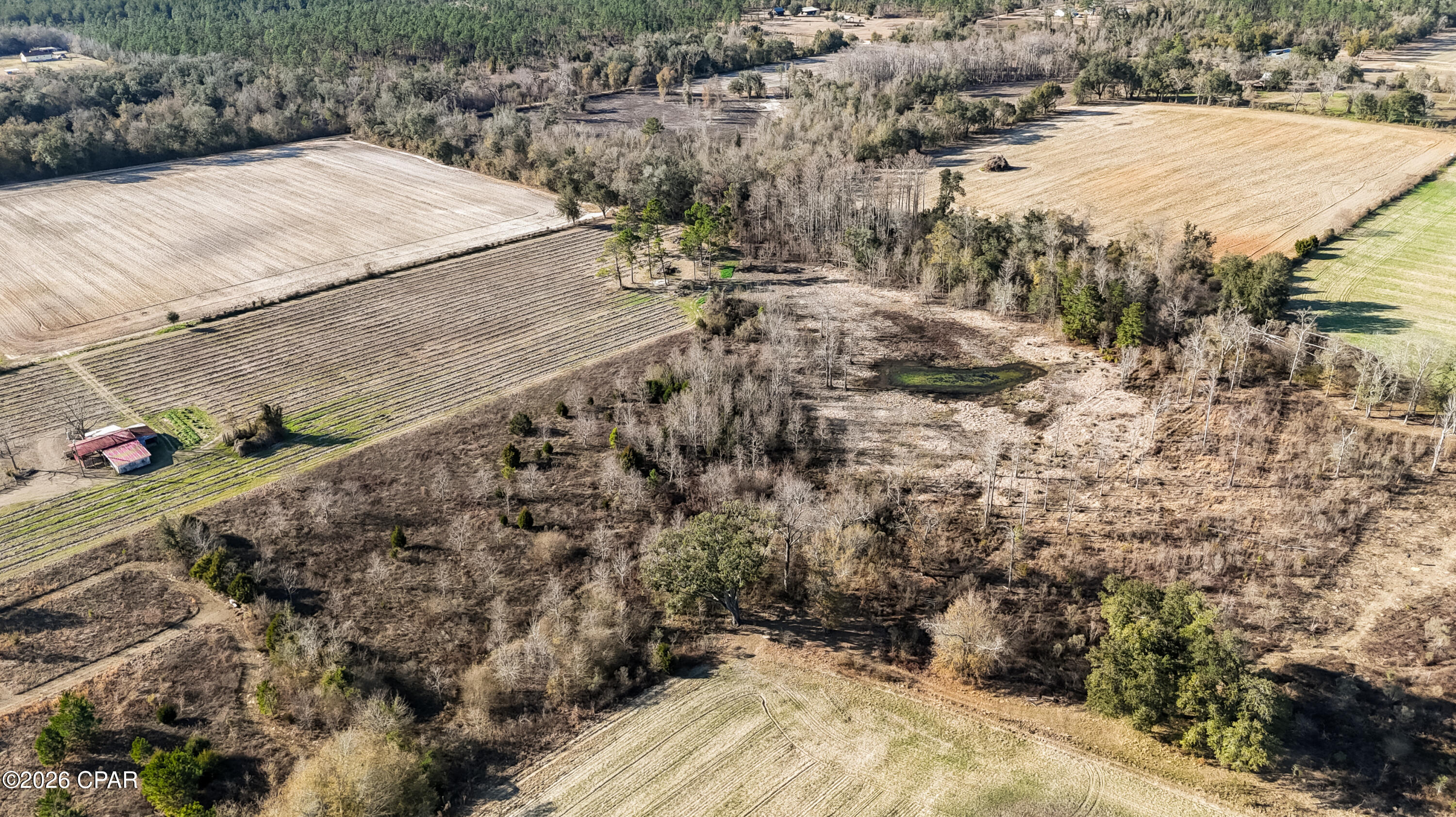 0 Columbus Road Grand Ridge, FL 32442 - Photo 7 of 16
