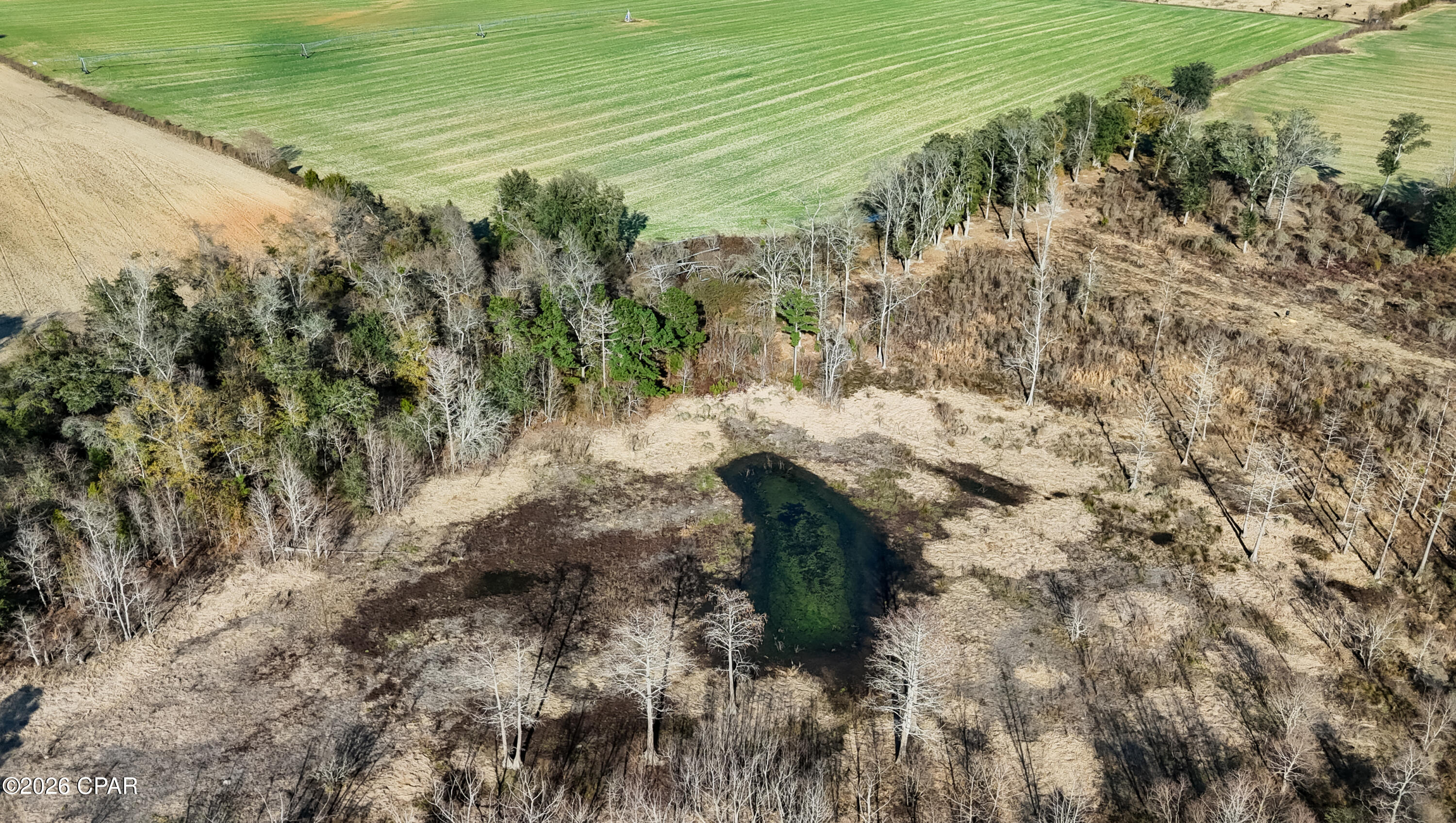 0 Columbus Road Grand Ridge, FL 32442 - Photo 8 of 16