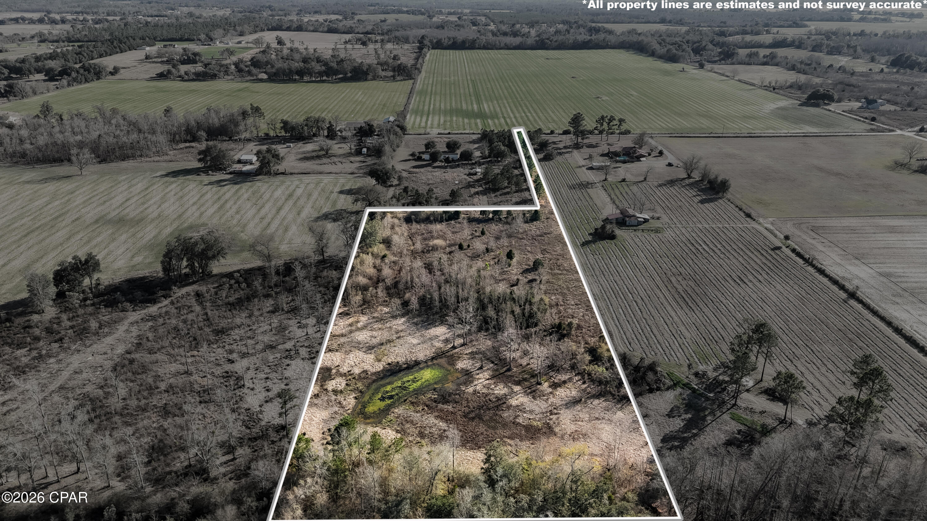 0 Columbus Road Grand Ridge, FL 32442 - Photo 9 of 16