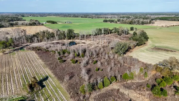 $47,500 | 0 Columbus Road, Grand Ridge, FL 32442