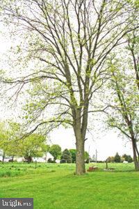 22 Sleepy Hollow Road Nottingham, PA 19362 - Photo 6 of 16 a big yard with lots of green space