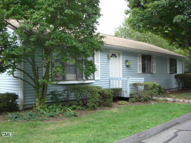 a view of a backyard with plants and large tree