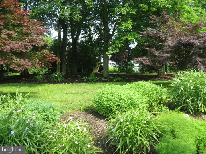 802 Brandywine Road Downingtown, PA 19335 - Photo 8 of 25