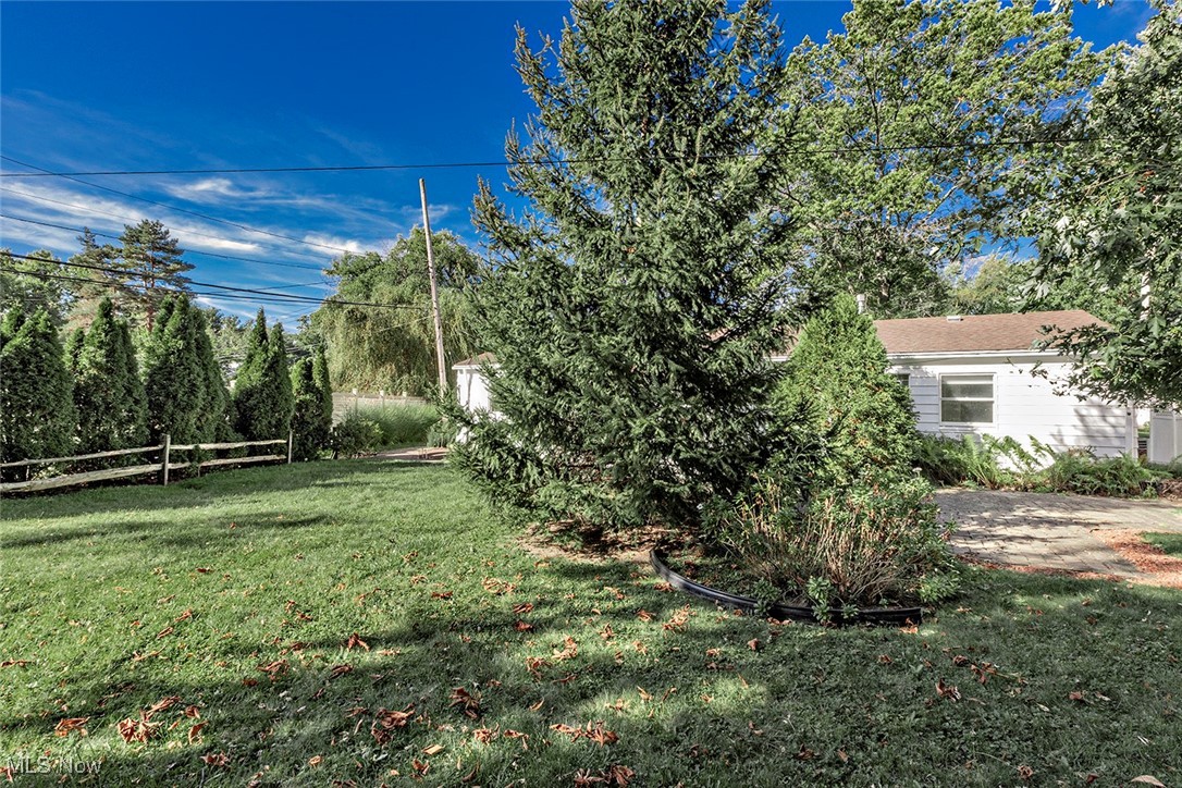 1691 Harwich Road Lyndhurst, OH 44124 - Photo 42 of 45 View of yard
