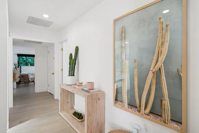 a view of a yard with a palm tree