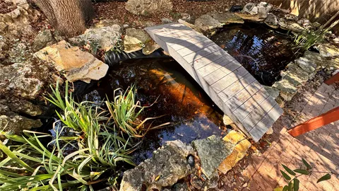 $1,025,000 | 9402 Bluegrass Drive, Austin, TX 78759