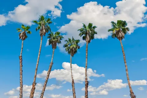 $865,000 | 38855 Paradise Way, Cathedral City, CA 92234