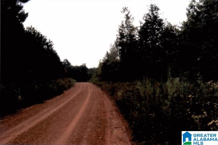 0 County Road 83, Unit 2 Heflin, AL 36264 - Photo 2 of 8