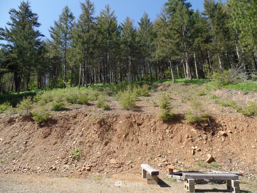 3200 Emerick Road Cle Elum, WA 98922 - Photo 21 of 23 Gallery Image 21