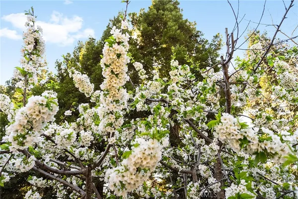 $840,000 | 14 Sparrow Hawk Lane, Chico, CA 95928