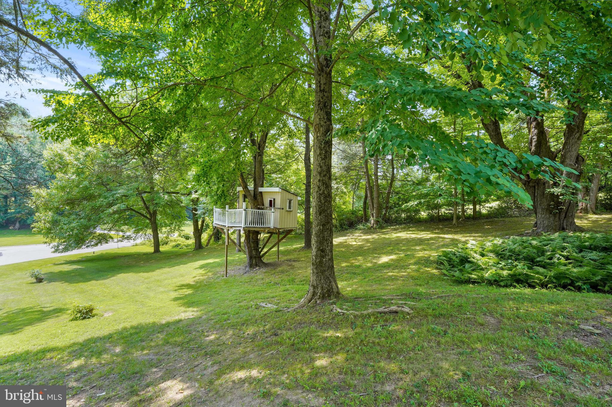 922 Hunt Road Radnor, PA 19008 - Photo 54 of 59 a view of a tree in a yard