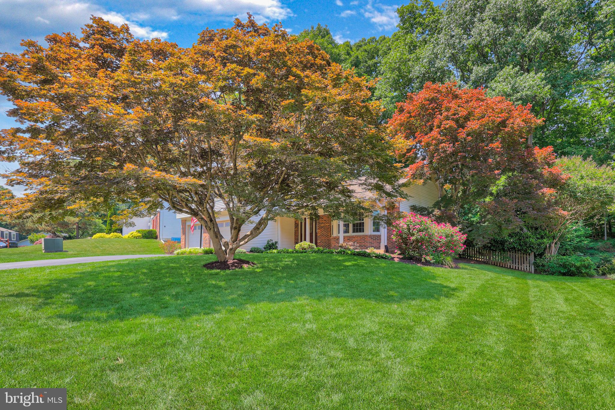 9217 Rockefeller Lane Springfield, VA 22153 - Photo 41 of 41 Beautiful Grass Throughout Front Yard