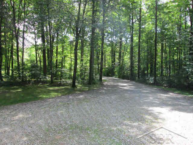 14302 Roe Road Hemlock, MI 48626 - Photo 15 of 15 20368438-14.JPG