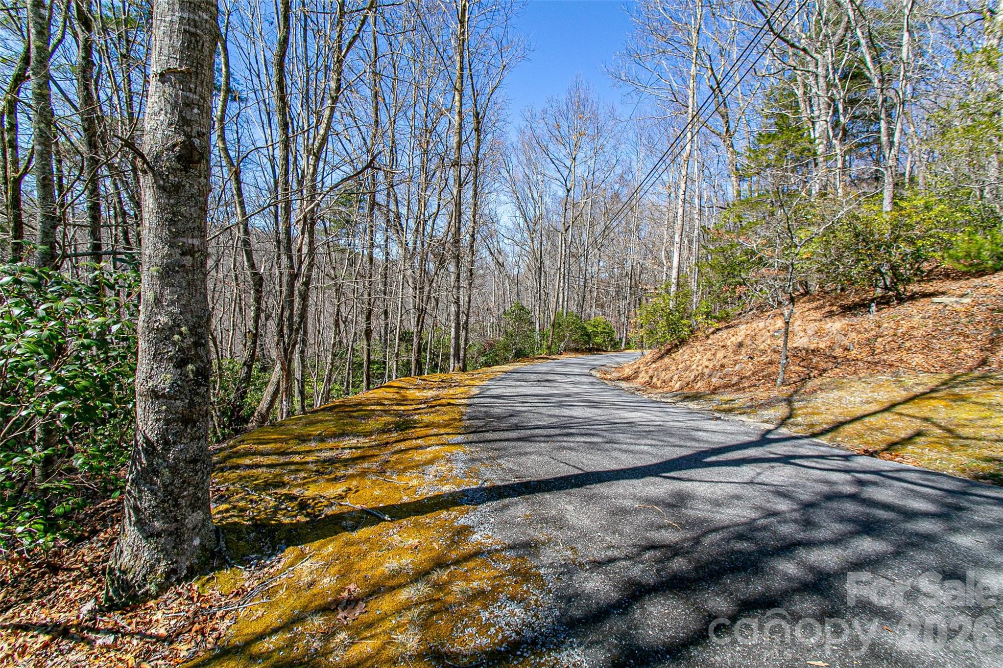 Tbd Still Branch Road, Unit L20 Brevard, NC 28712 - Photo 11 of 26