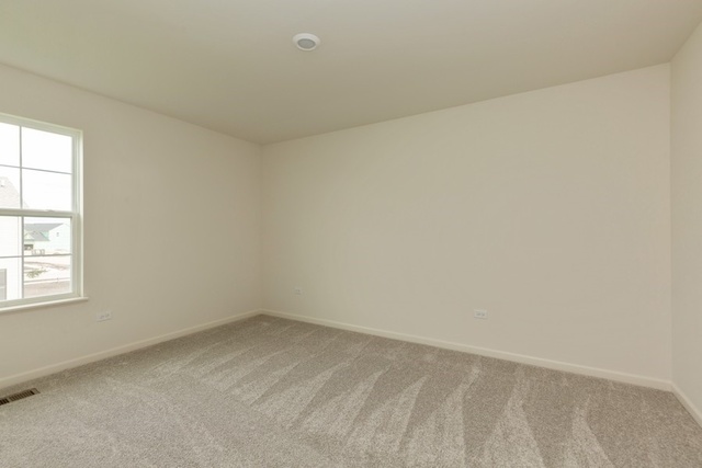 9231 Ramsdell Street Huntley, IL 60142 - Photo 12 of 17 Gallery Image 12