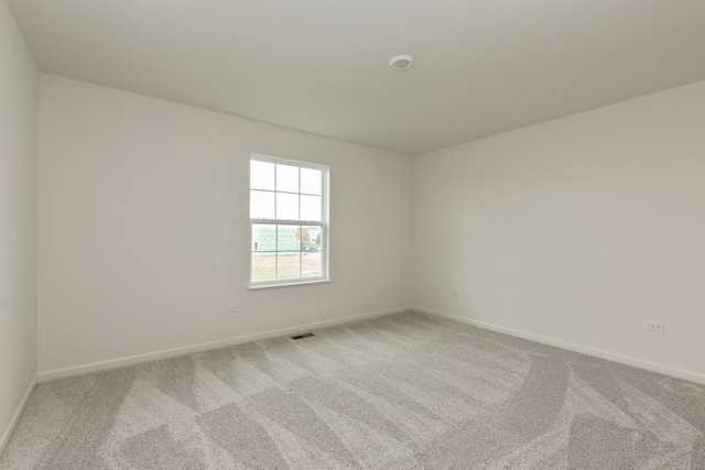 9231 Ramsdell Street Huntley, IL 60142 - Photo 13 of 17 Gallery Image 13