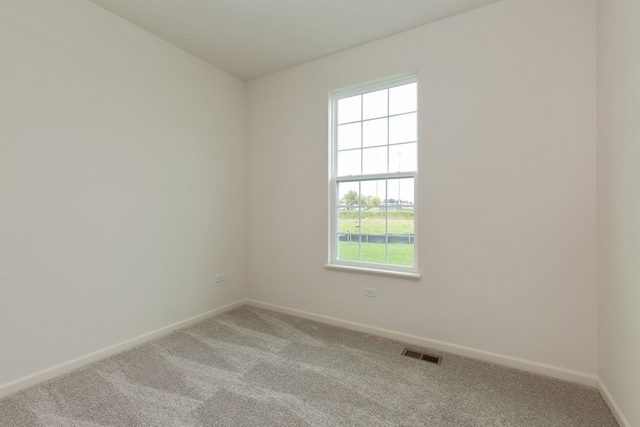 9231 Ramsdell Street Huntley, IL 60142 - Photo 8 of 17 Gallery Image 8
