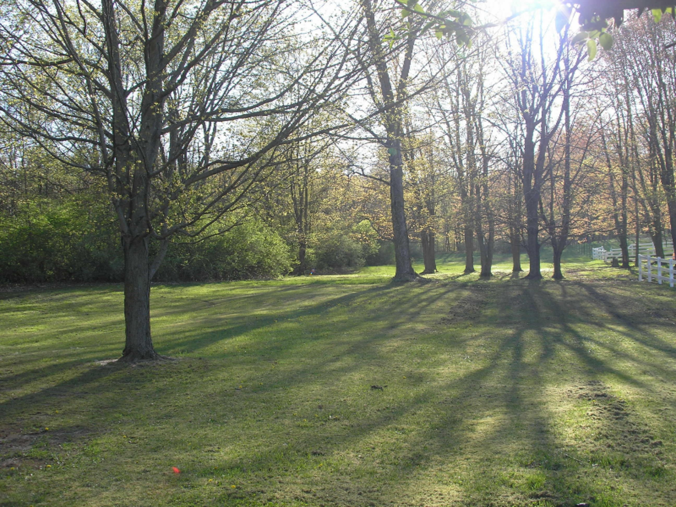 60918 Woodlake Road Three Rivers, MI 49093 - Photo 18 of 21 60918 Wood Lake Rd 021