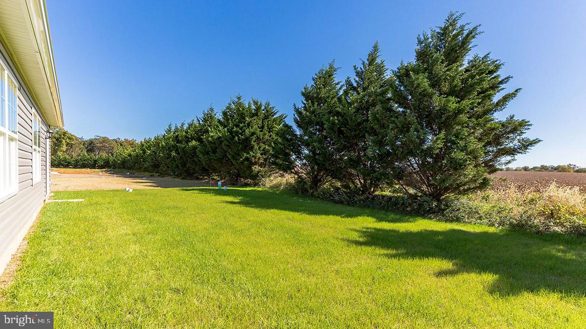 101 Whitman Lane Woodbine, NJ 08270 - Photo 4 of 29 a view of yard and swimming pool