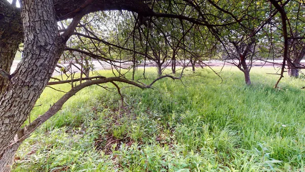 $68,900 | Two Rawley Road, Unit BLK4, Two Rivers, WI 54241