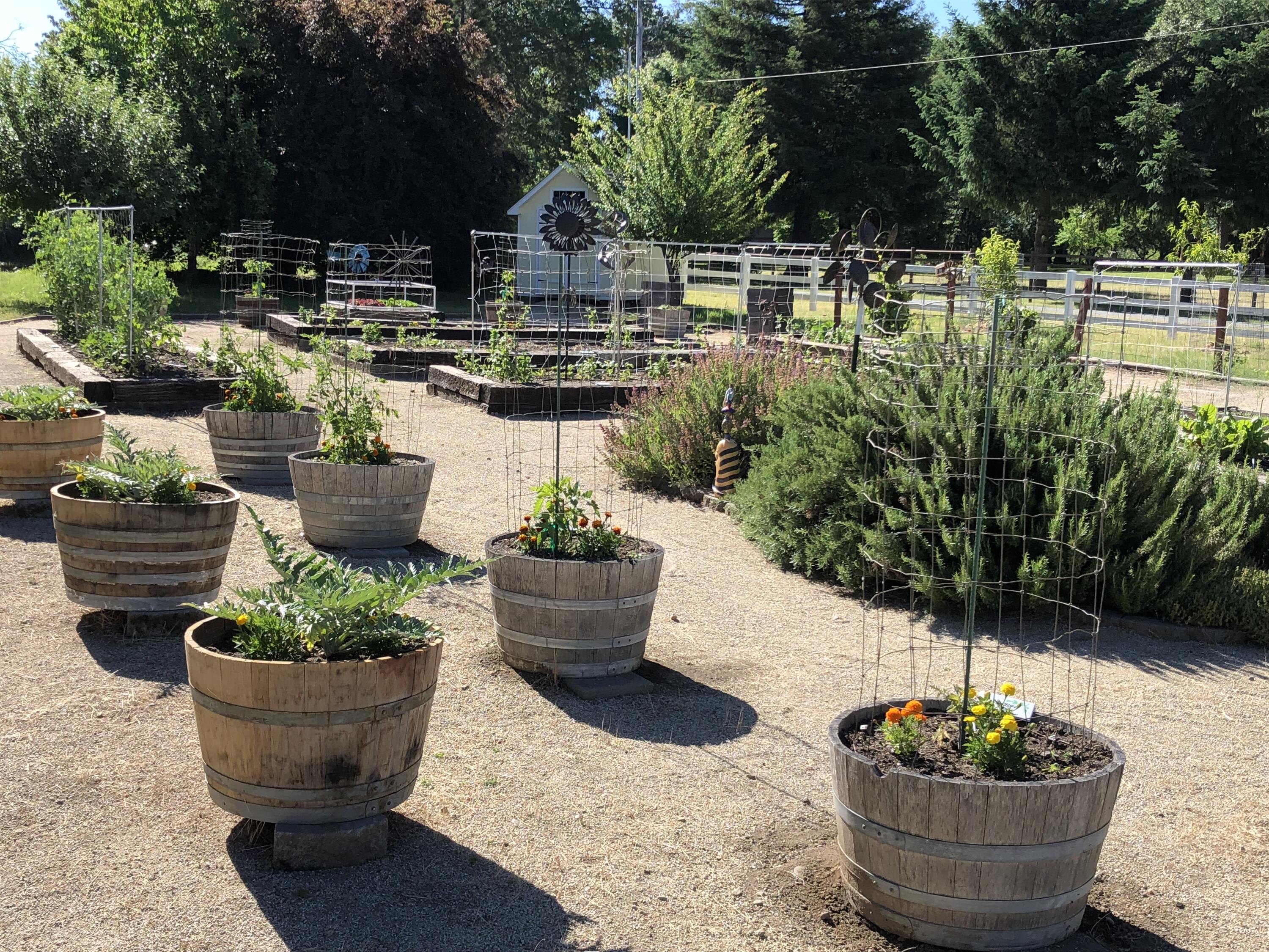 6666 New Hope Road Grants Pass, OR 97527 - Photo 57 of 60 Garden