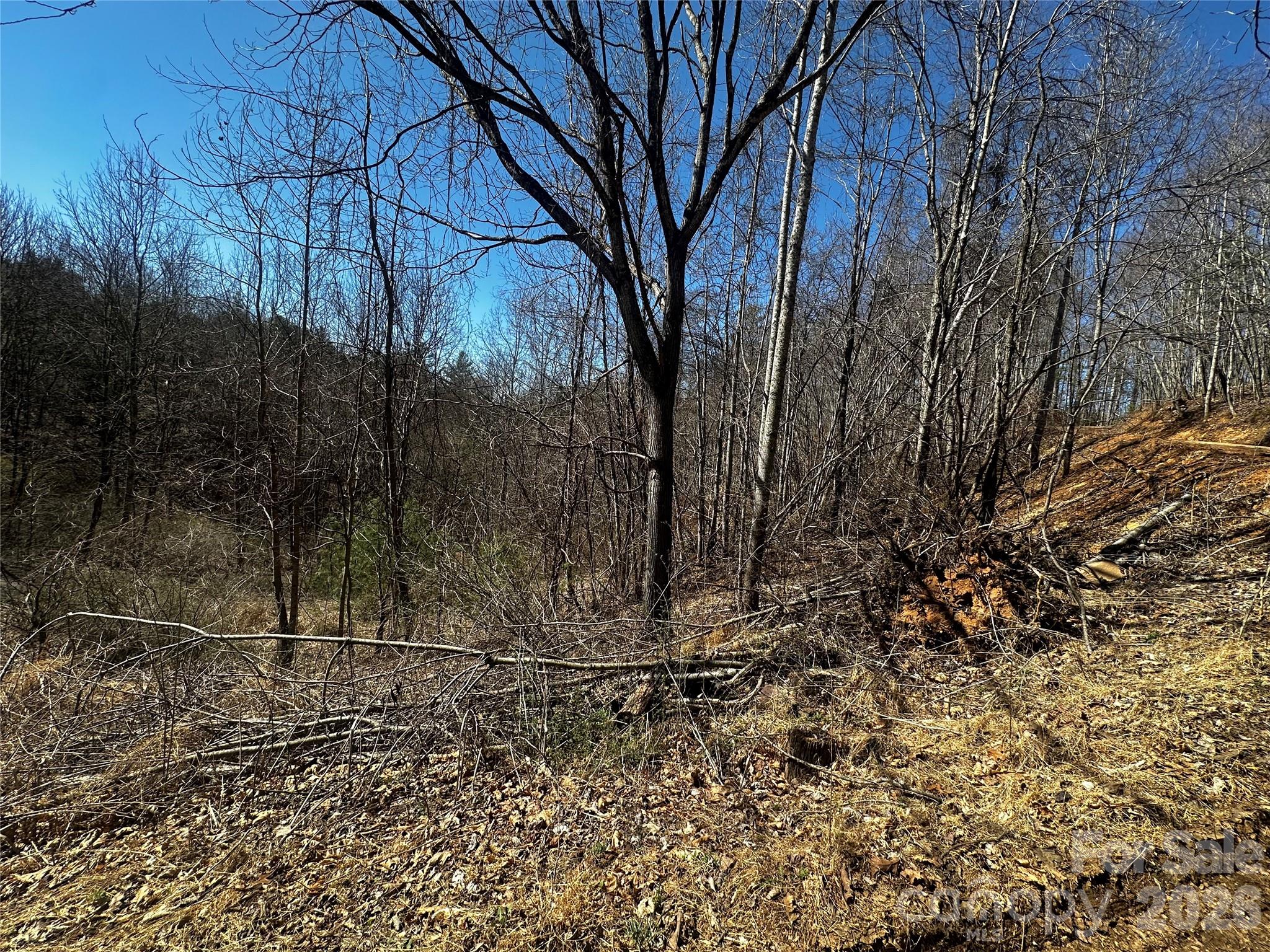 0 Grace Ridge Road Bakersville, NC 28705 - Photo 11 of 13 a view of a yard with wooden fence