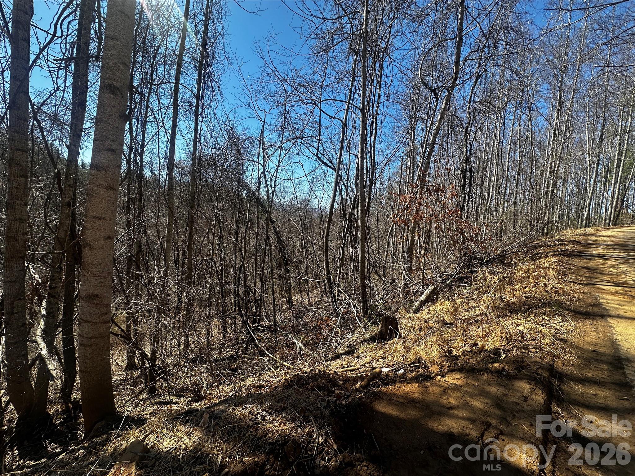 0 Grace Ridge Road Bakersville, NC 28705 - Photo 12 of 13 a view of a yard with plants and trees