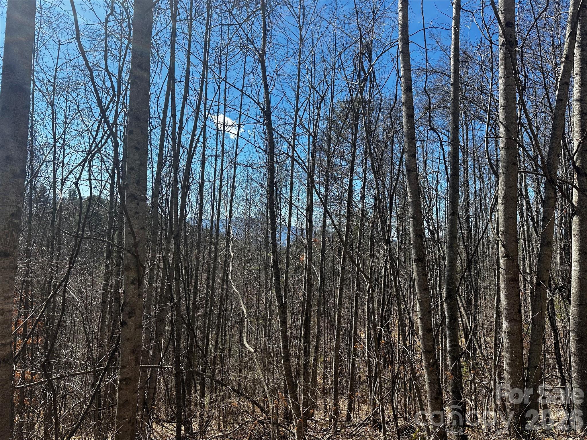 0 Grace Ridge Road Bakersville, NC 28705 - Photo 13 of 13