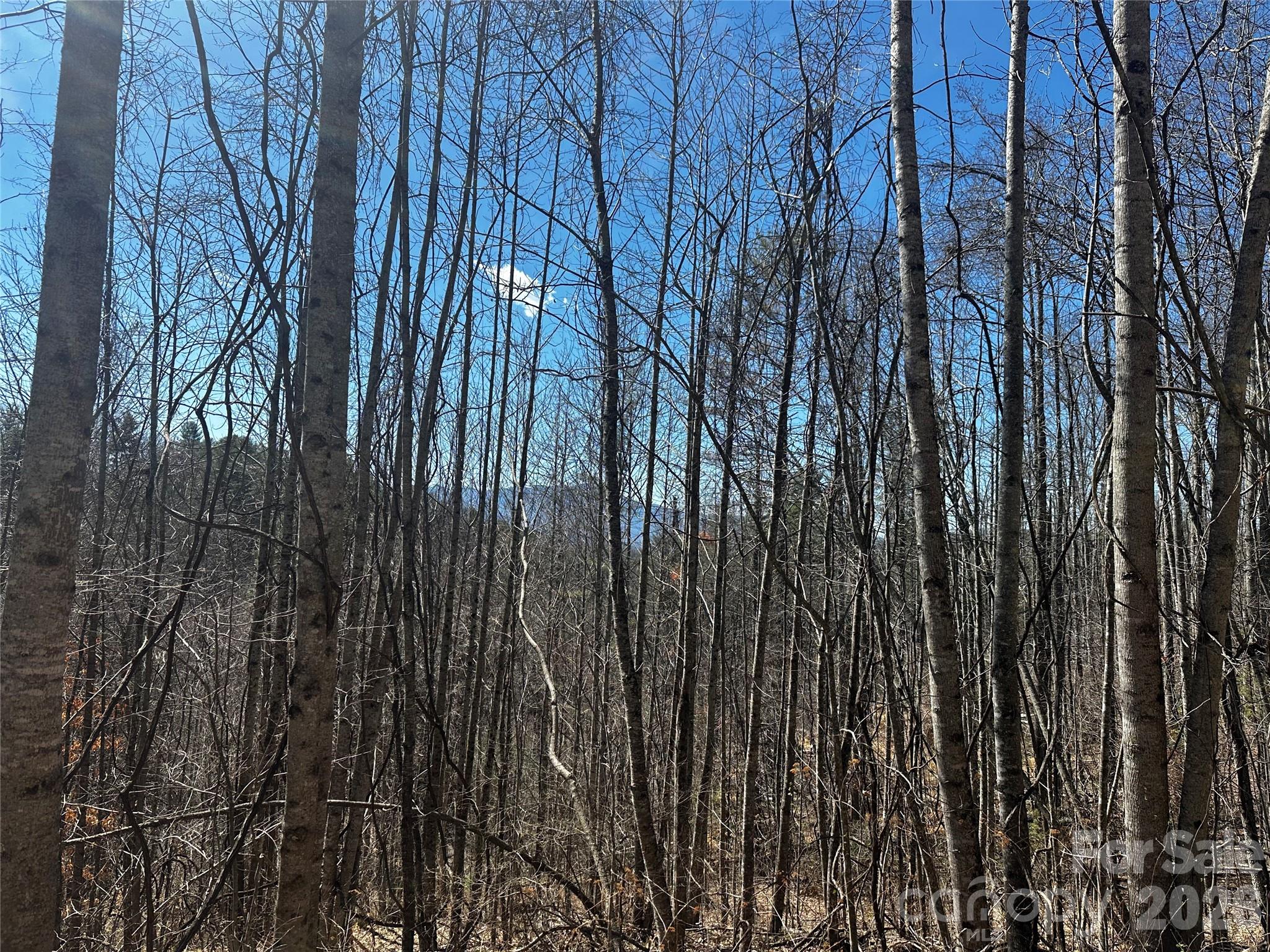 0 Grace Ridge Road Bakersville, NC 28705 - Photo 2 of 13 a view of lots of trees