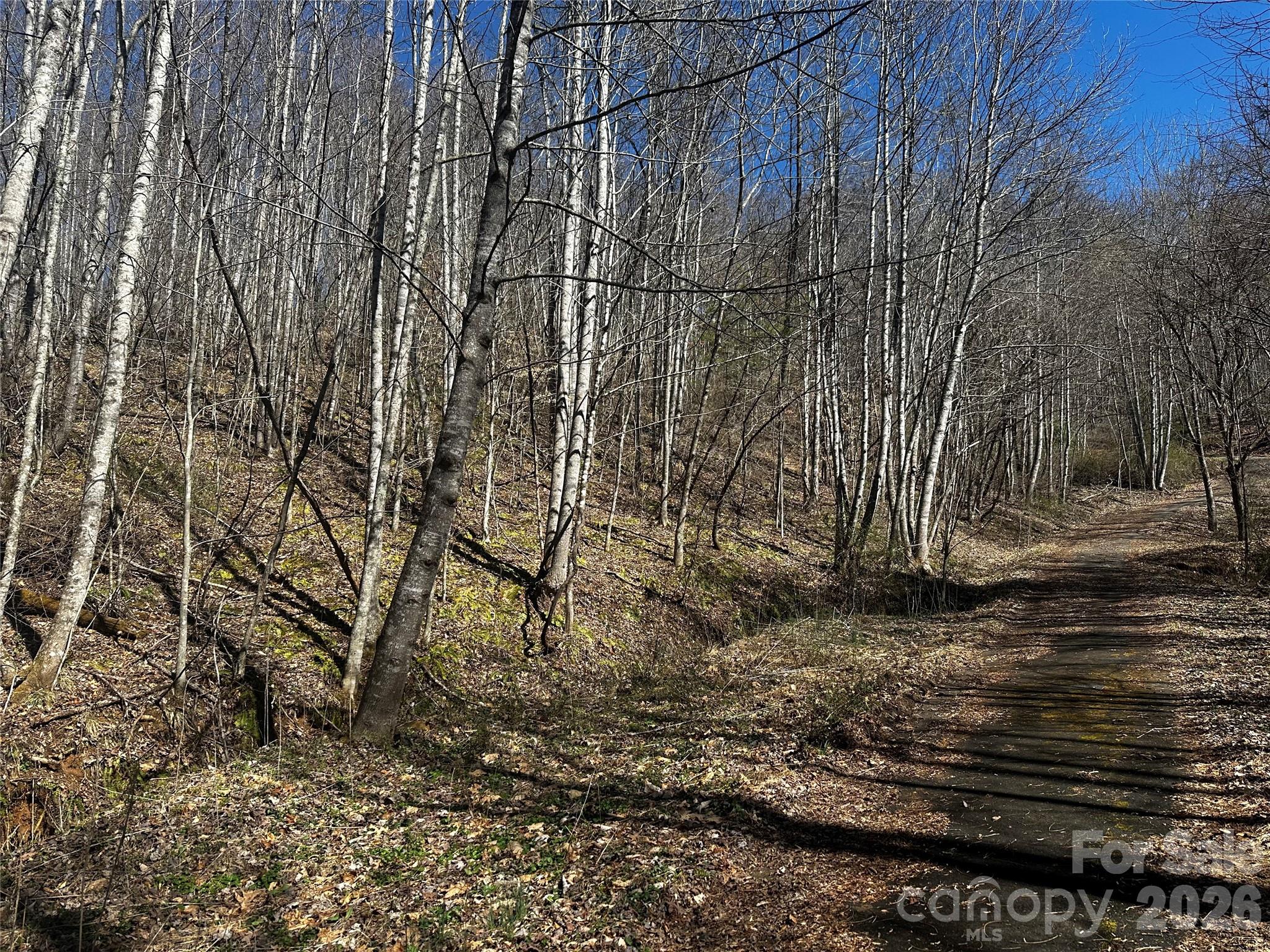 0 Grace Ridge Road Bakersville, NC 28705 - Photo 5 of 13 a backyard of a house