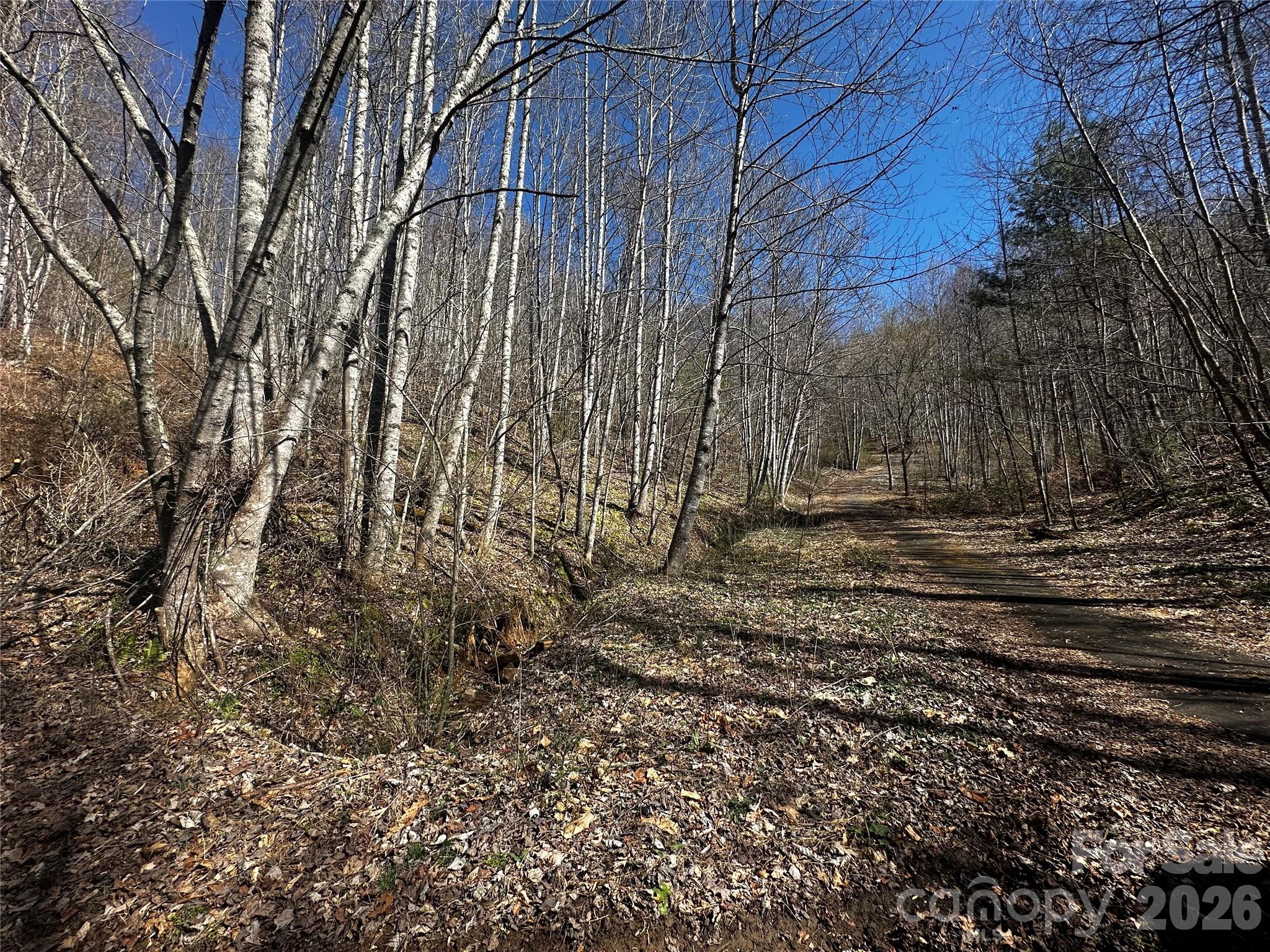 0 Grace Ridge Road Bakersville, NC 28705 - Photo 6 of 13 a view of backyard of house