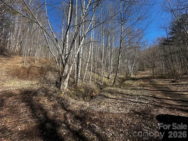 a view of a backyard of the house