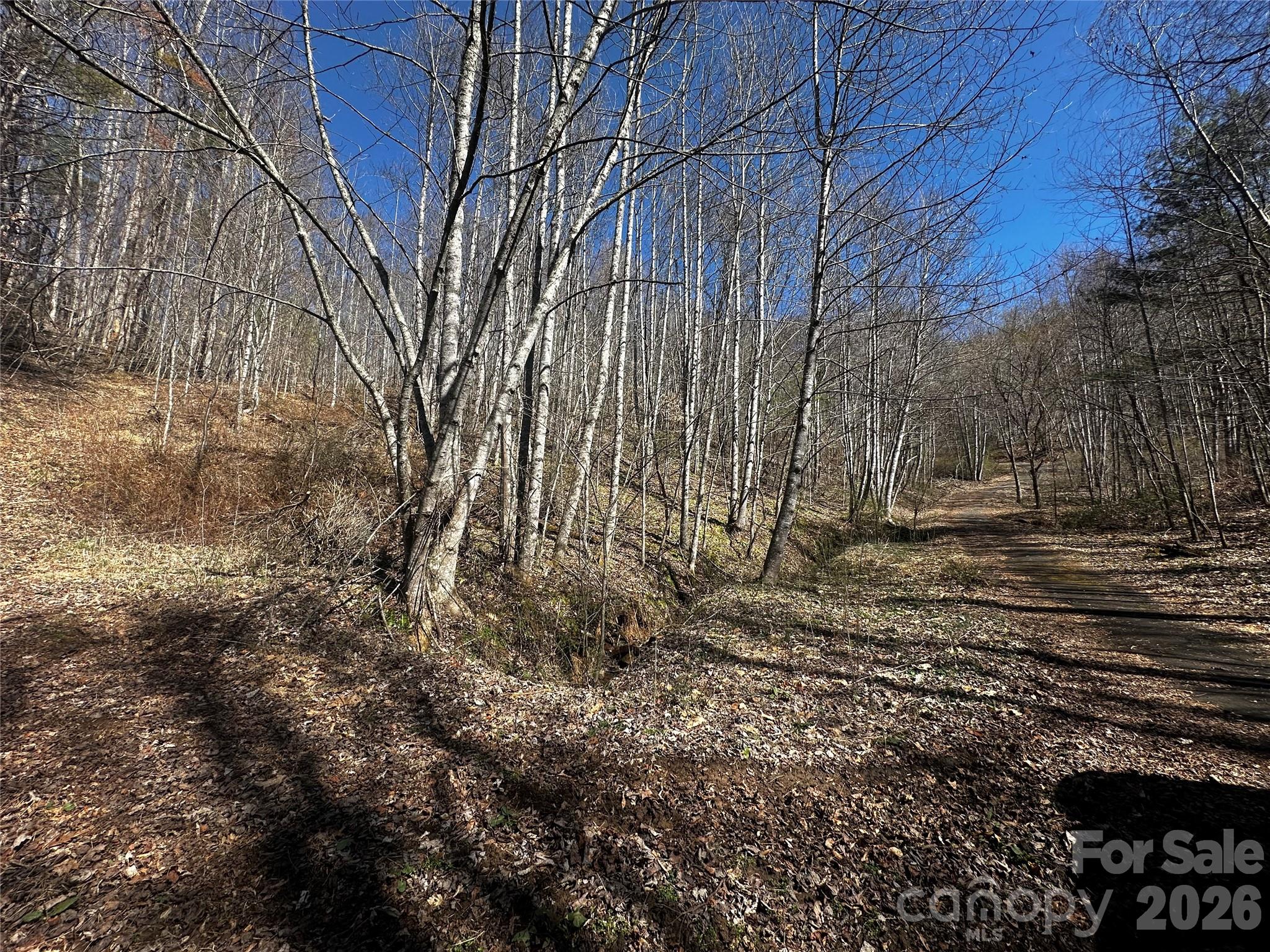 0 Grace Ridge Road Bakersville, NC 28705 - Photo 7 of 13 a view of backyard of house