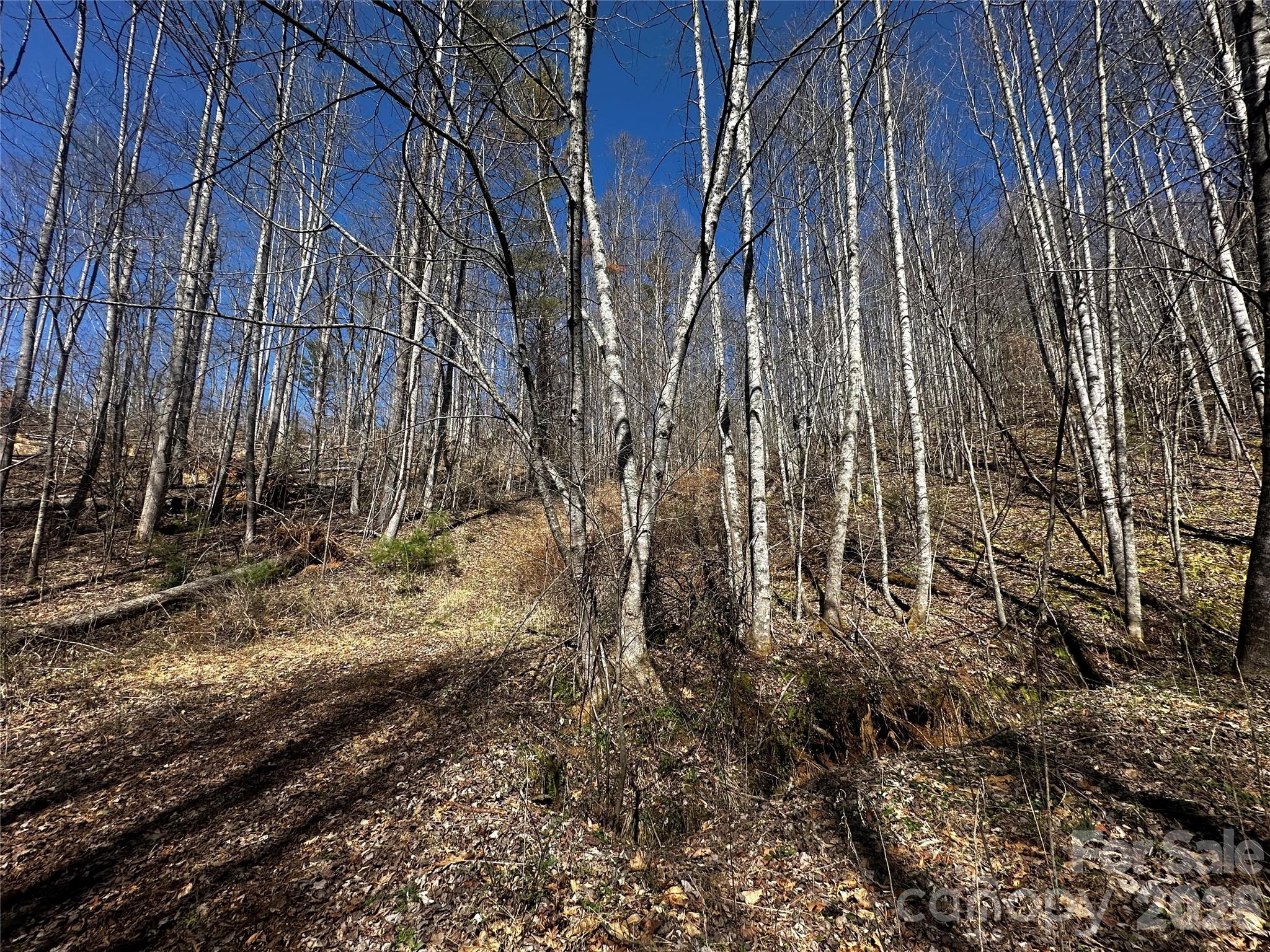 0 Grace Ridge Road Bakersville, NC 28705 - Photo 8 of 13 a view of a backyard of the house