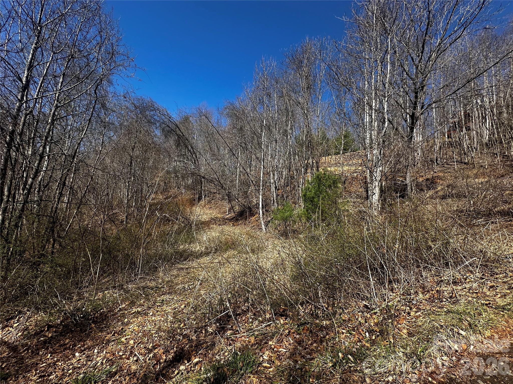 0 Grace Ridge Road Bakersville, NC 28705 - Photo 9 of 13 a view of a yard