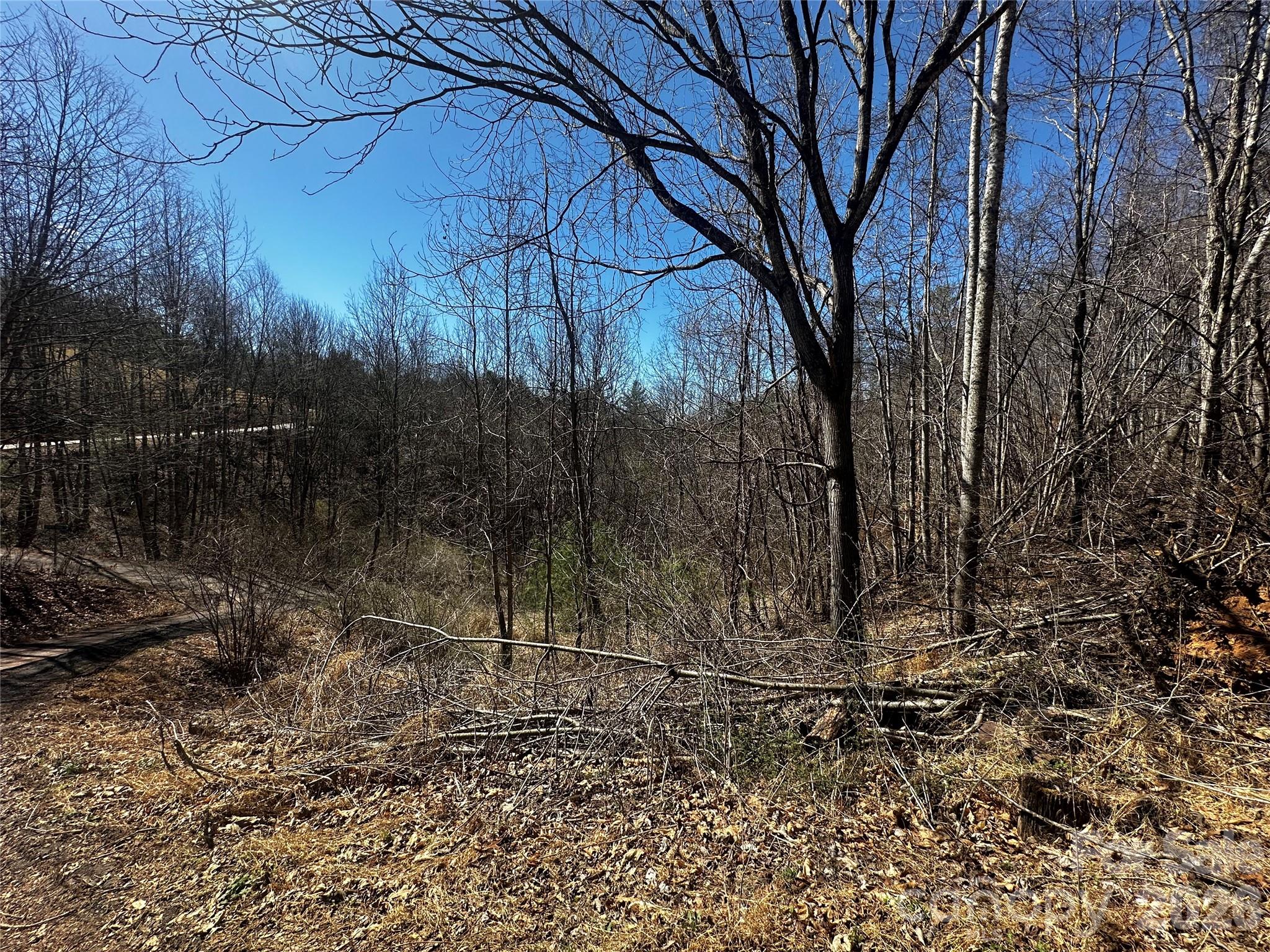 0 Grace Ridge Road Bakersville, NC 28705 - Photo 10 of 13 a backyard of a house with lots of green space