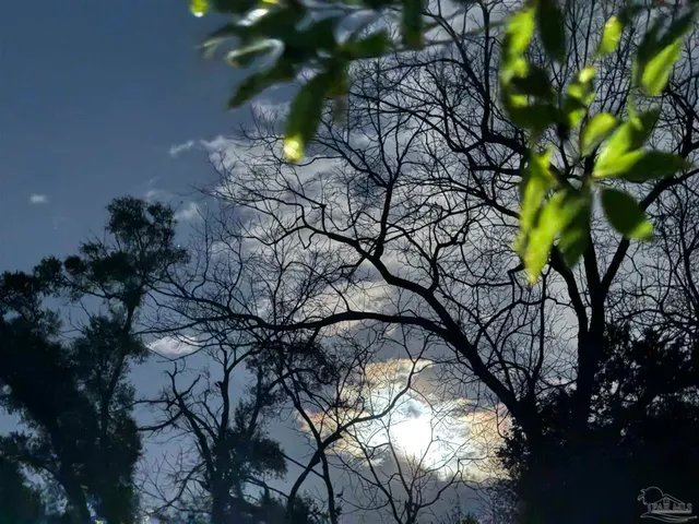 $1,500 | 6020 Marie Avenue, Pensacola, FL 32504