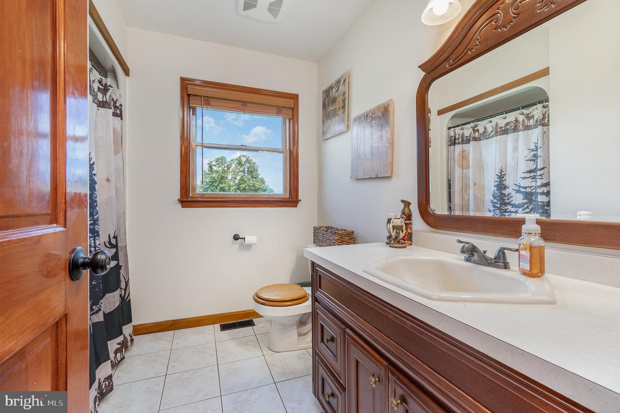 4816 Amos Road White Hall, MD 21161 - Photo 24 of 56 a bathroom with a sink toilet and mirror